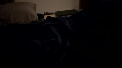 Snapshot of mps908 chatting on 02.06.26 Sequoia-Cocked Hombre de Sur online show from 02.06.26