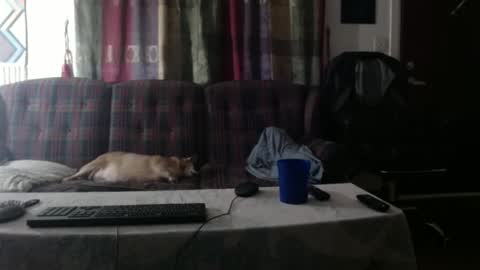 mr_happy12 online show from 09.23.25