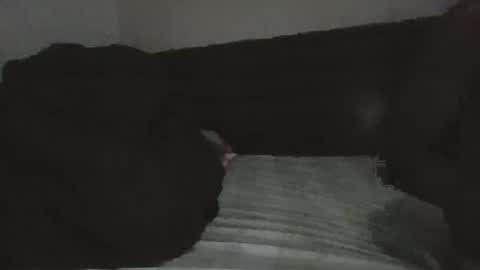 Snapshot of mr_hooked chatting on 11.18.25 mr hooked online show from 11.18.25