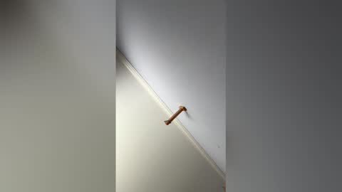 Hunter online show from 02.14.26