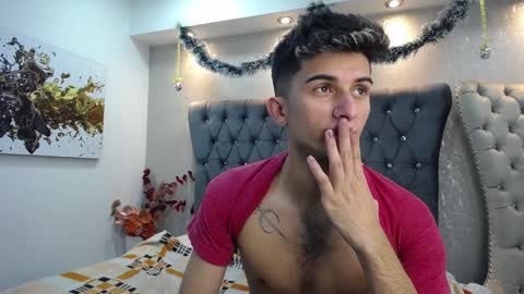 Snapshot of mr_williseo chatting on 12.26.24 williseo online show from 12.26.24