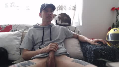 mrcock_col online show from 04.08.26