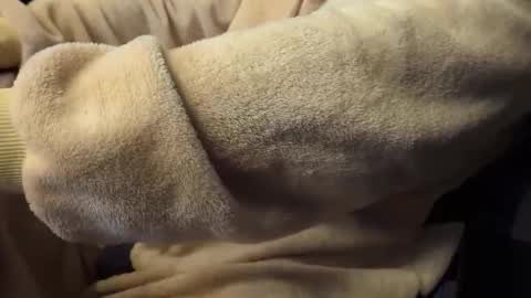 Snapshot of mrdelapampa chatting on 11.26.25 mrdelapampa online show from 11.26.25