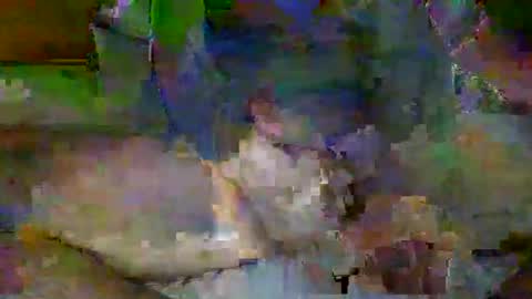 Mr-E online show from 04.06.26