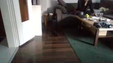 Snapshot of mrhandsomelovee chatting on 02.17.25 Nikola online show from 02.17.25