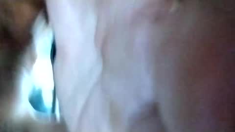 Snapshot of mrhotcock7inch chatting on 12.27.24 mrhotcock7inch online show from 12.27.24