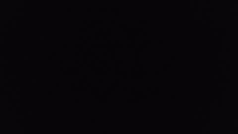 mrj1979 online show from 12.06.24