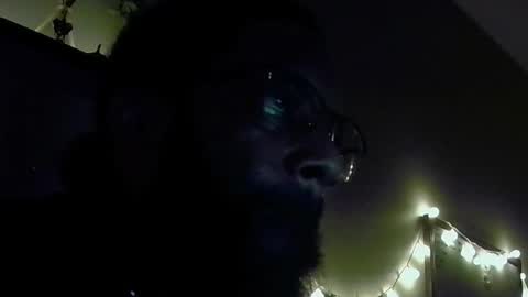 Snapshot of mrreefyreef chatting on 11.01.25 Zaddylongstroke online show from 11.01.25