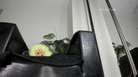 Goddess. Miss. Lady.  Queen. Madam Milady online show from 02.28.26