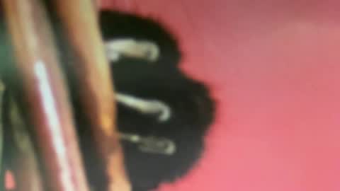 Snapshot of msduss351 chatting on 02.02.25 msduss351 online show from 02.02.25