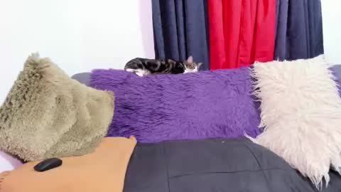 Miss Justine online show from 10.31.25