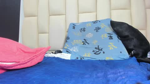 FERNANDA 3 online show from 12.17.24