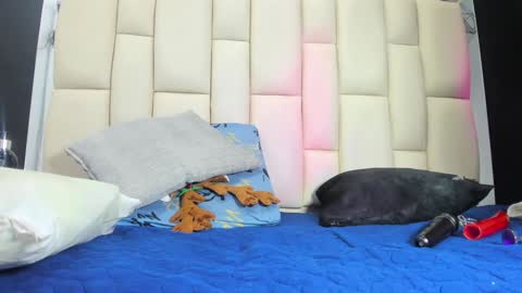 FERNANDA 3 online show from 12.19.24