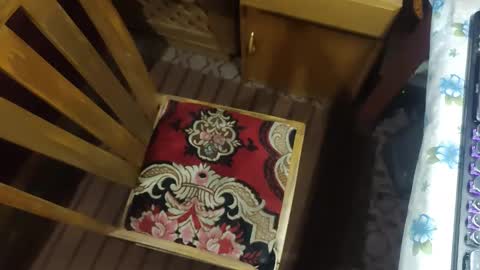 zenon online show from 12.20.25