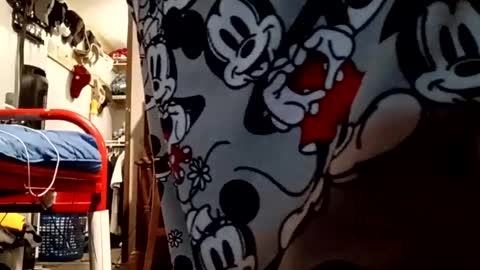 muddflapz online show from 10.06.25