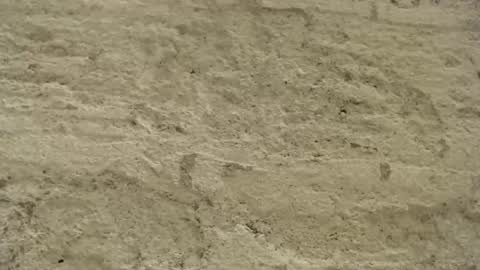 Mullty online show from 12.18.24