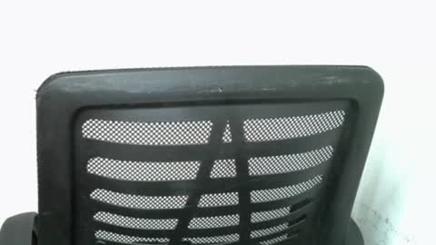 muscle_queen0 online show from 02.18.26