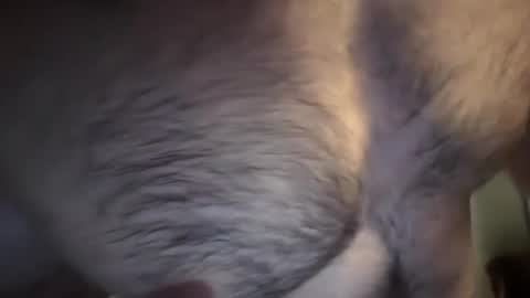 musclehair3 online show from 02.10.25