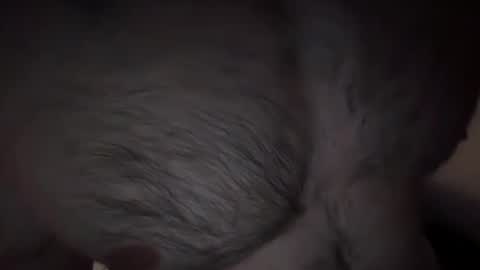 musclehair3 online show from 02.14.25