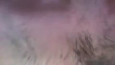 Snapshot of musclehair3 chatting on 07.13.26 musclehair3 online show from 07.13.26