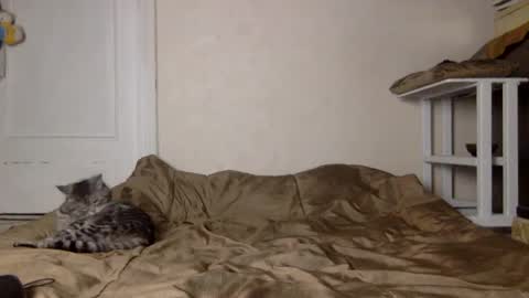 Muse Ali  online show from 12.04.24