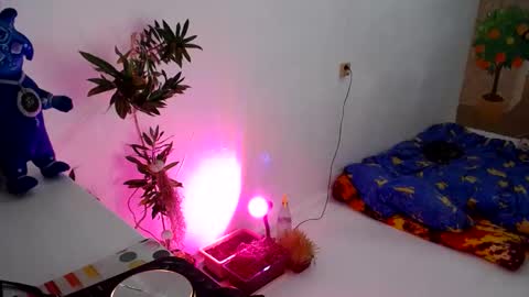 Muse Ali  online show from 12.31.24