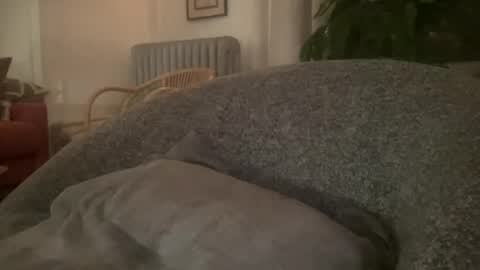 muslgut online show from 02.16.25