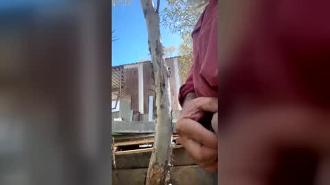 Snapshot of my_cockeye chatting on 03.04.26 my_cockeye online show from 03.04.26