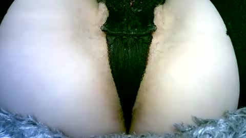 my_tightholes online show from 02.02.26