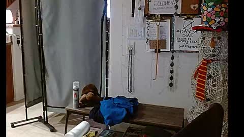 LA MARIPOSA DE MARICOPA online show from 12.25.24