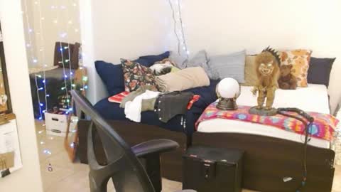 LA MARIPOSA DE MARICOPA online show from 02.14.25