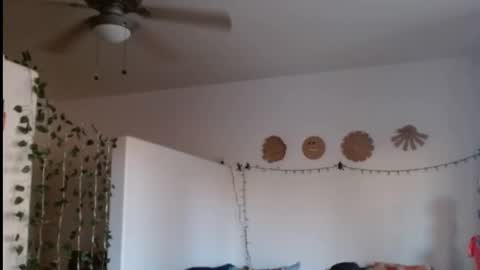 LA MARIPOSA DE MARICOPA online show from 02.21.25