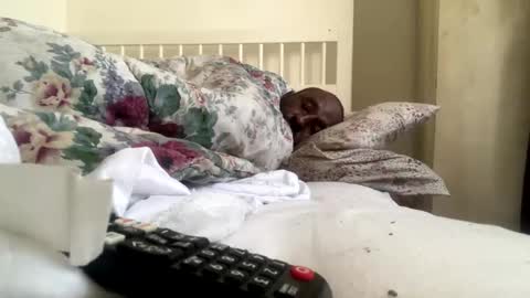 Snapshot of mycockissohard2021 chatting on 02.14.25 mycockissohard2021 online show from 02.14.25