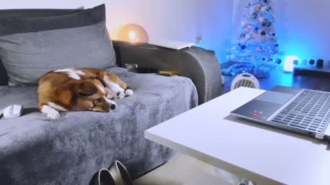 Anda online show from 12.27.24