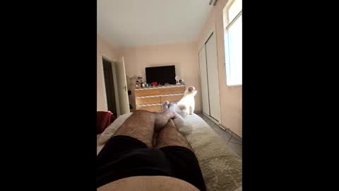 Snapshot of mysterbearmg chatting on 09.27.25 mysterbearmg online show from 09.27.25