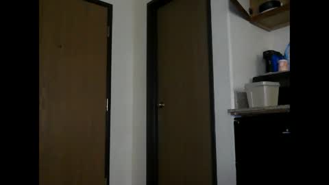 Snapshot of mysticlynn420 chatting on 12.13.24 MysticLynn online show from 12.13.24