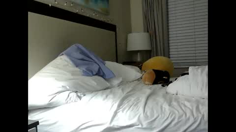 Snapshot of mysticlynn420 chatting on 01.10.25 MysticLynn online show from 01.10.25