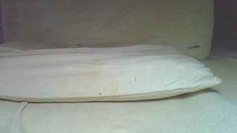 Snapshot of myxiao chatting on 12.11.24 rudisuzzy online show from 12.11.24