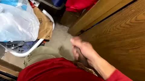 nairda2senoniuq online show from 12.05.24