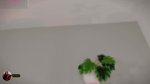 INSTAGRAM  m2221     online show from 03.03.26