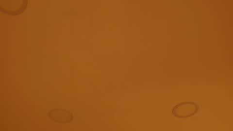 INSTAGRAM  m2221     online show from 04.08.26