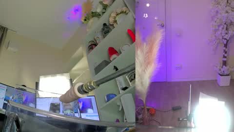 INSTAGRAM     bekkercat  online show from 02.03.26