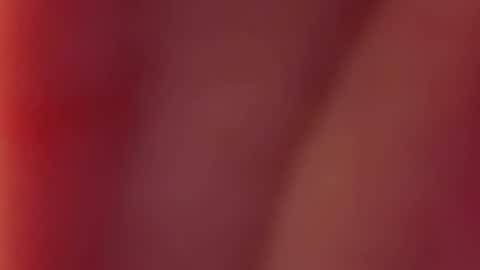 Nancy and Archi online show from 12.12.24