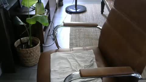 nareth338 online show from 09.19.25