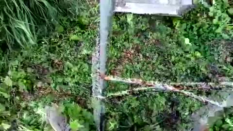 nata1974 online show from 10.18.25