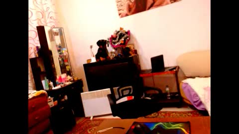 natali online show from 12.28.24
