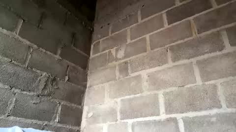 natasha__magics online show from 02.01.26