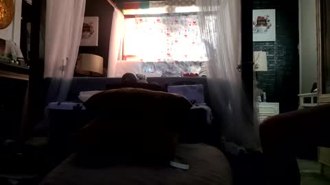 Haven online show from 01.13.25