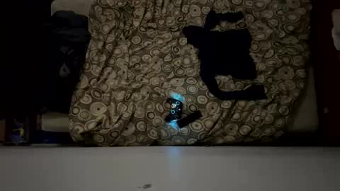 naughty6toy online show from 02.17.26