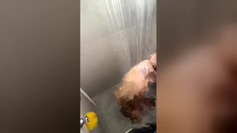 Joyci Lima online show from 03.23.26